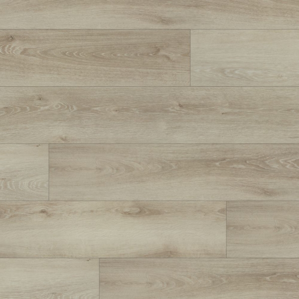 Bakassi 2150 01