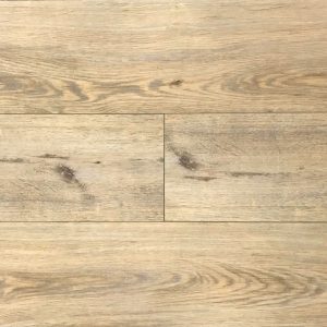 SPC 1507-5 Sandhill Oak