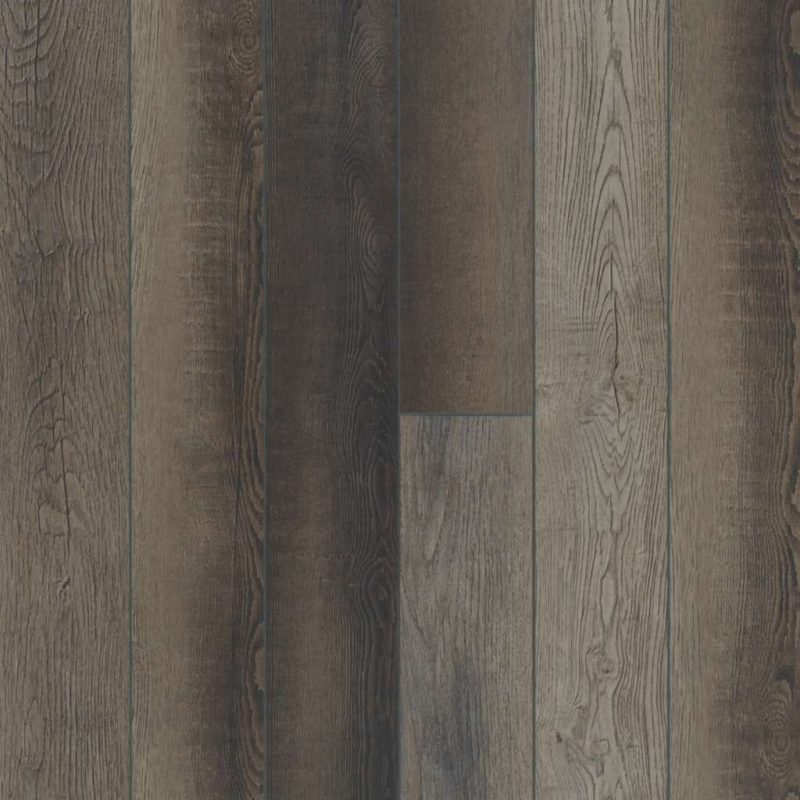 00909 BLACKFILL OAK PARAGON 5 PLUS