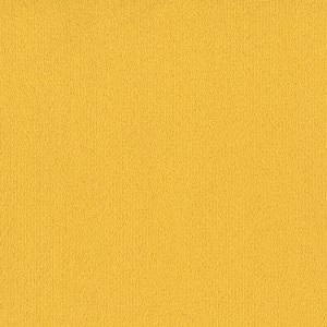 CITRUS #62201