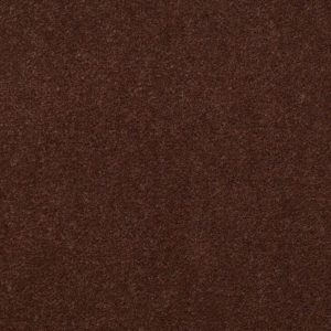 HAZELNUT #56724