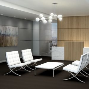 EMPHATIC II 30 VIEW