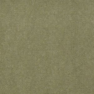 ISLAND GREEN #56370