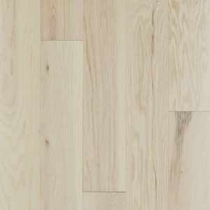 EXPLORATION OAK