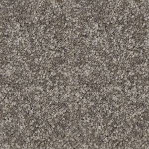 Hologram H344 Glendale SDN W4447