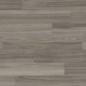 KP141 Urban Spotted Gum (zoom out)