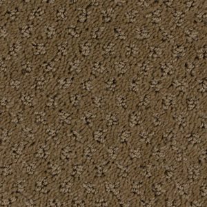 Light Cocoa H537 Barbet W9611