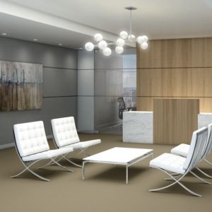 NEST EPBL VIEW