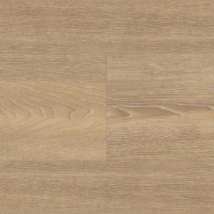 WP411 Niveus (zoom in)