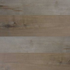 cypress