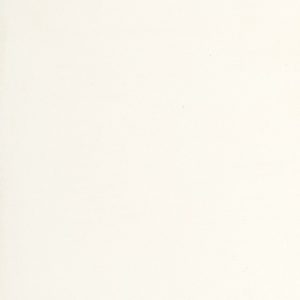 1111 VIVID WHITE