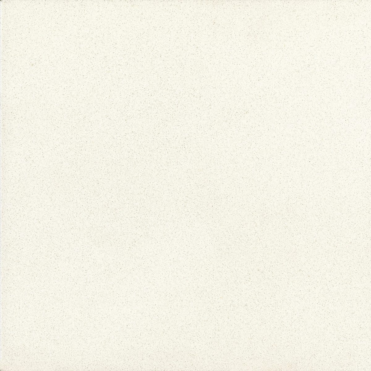 BIANCO CANVAS (ZOOM IN)