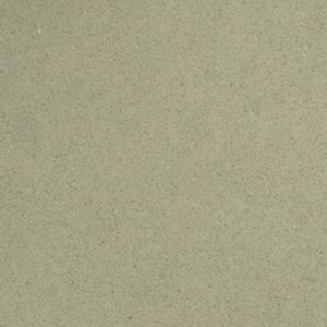 CASCARA BS181