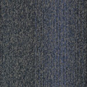 GENS 34370 CoDi
