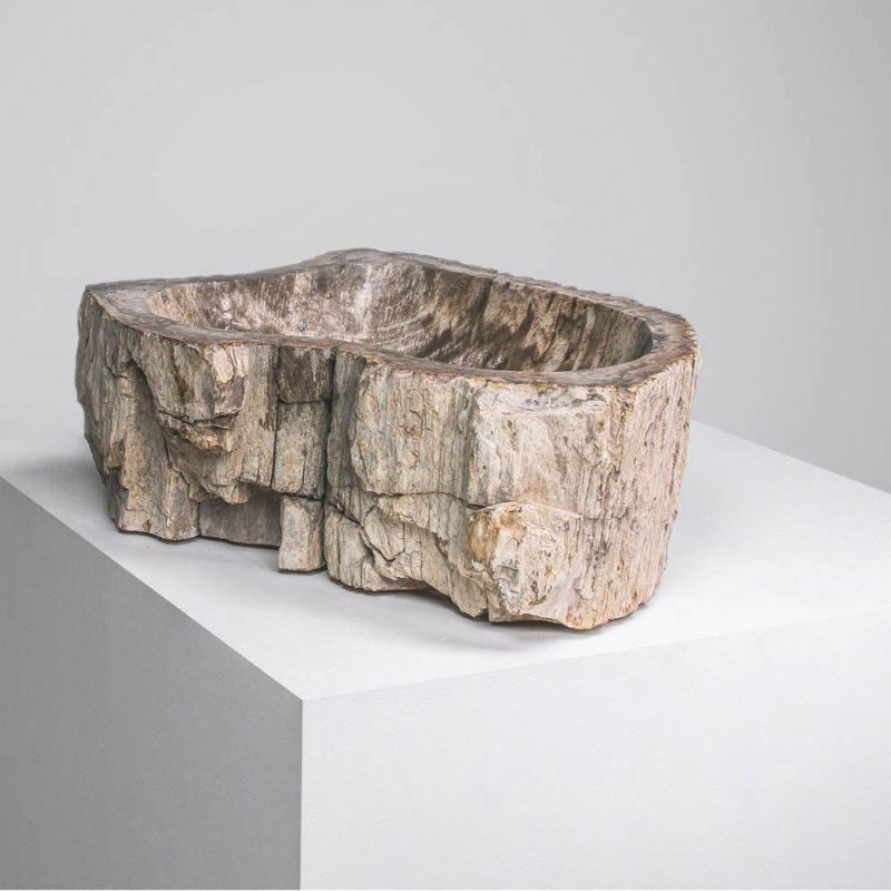 QUARI PETRIFIED WOOD BALI 01 ELEMENTAL WOOD COLOR