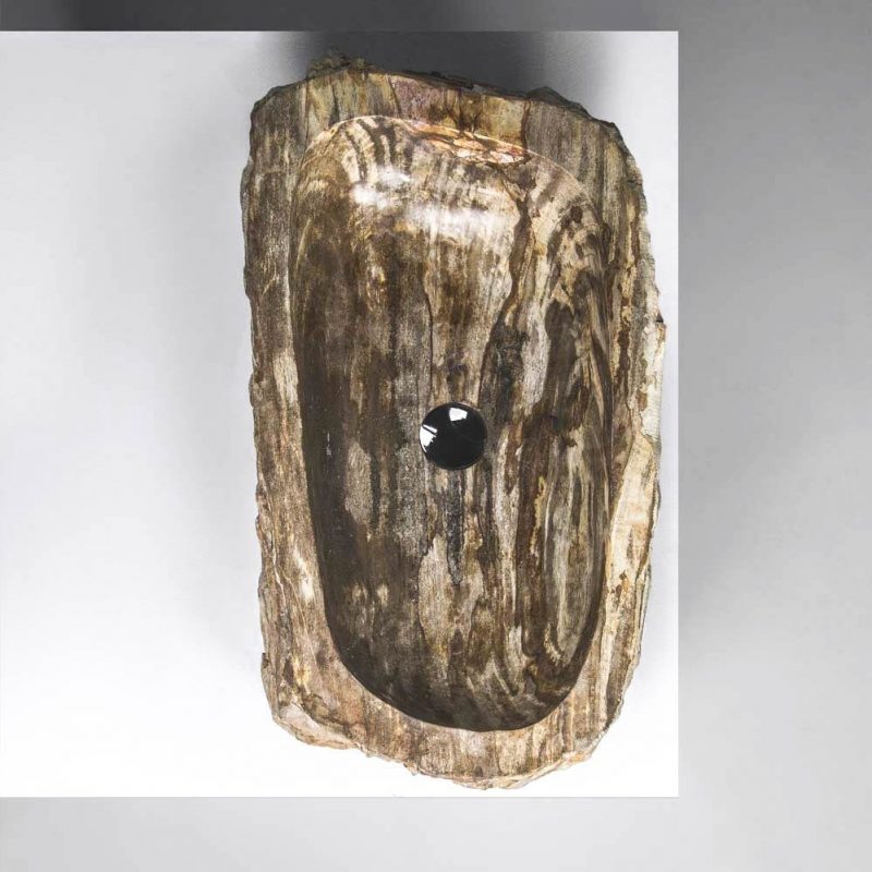 QUARI QUARI PETRIFIED WOOD XL 02 ELEMENTAL WOOD COLOR PETRIFIED WOOD XL 02 ELEMENTAL WOOD COLOR