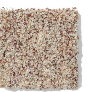 TWEED - 0121B SERENDIPITY I BERBER