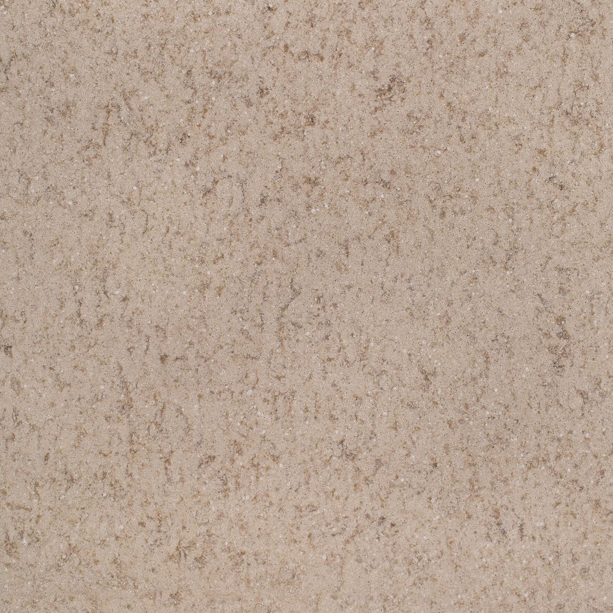 WALNUT LUSTER (ZOOM OUT)