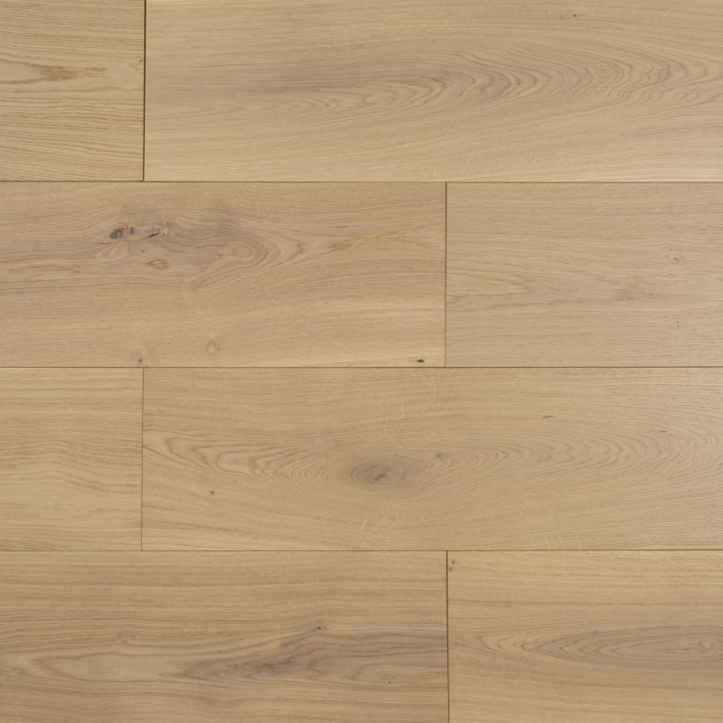 American Oak 9 Collection-Macoroon