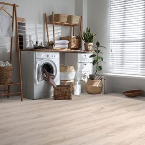 Macadamia #6036