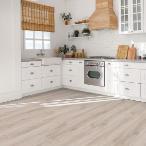Macadamia #6036