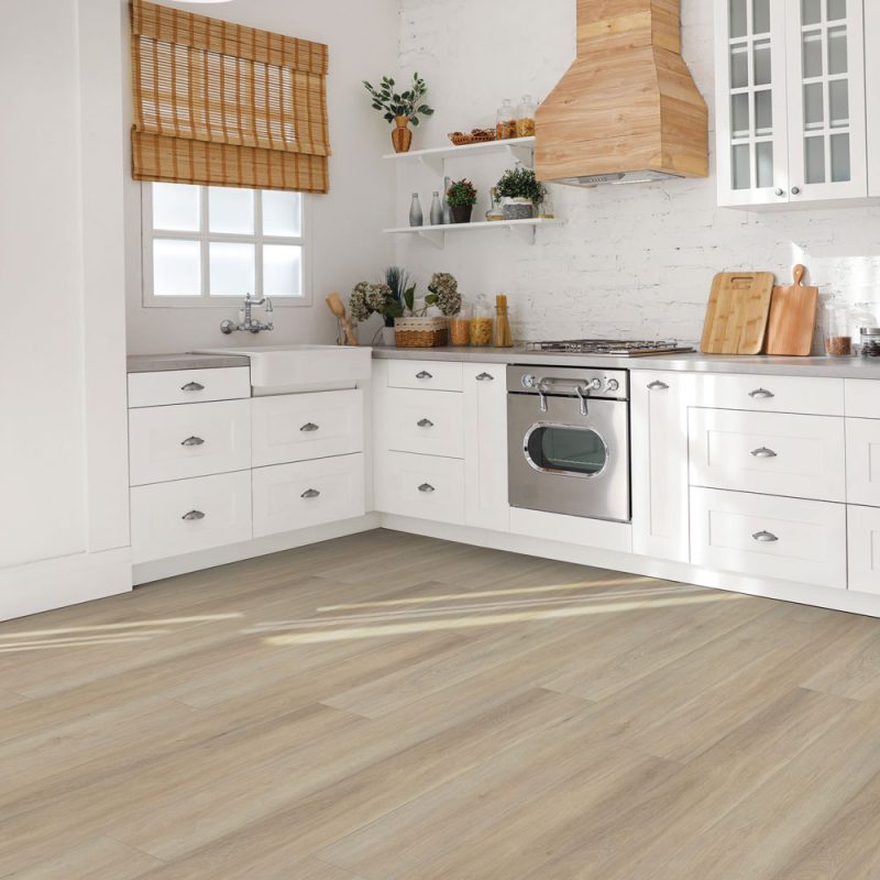 Caraway #6050