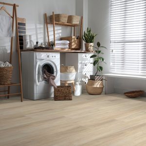 Caraway #6050