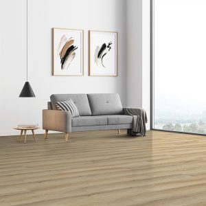 Ostro #2381