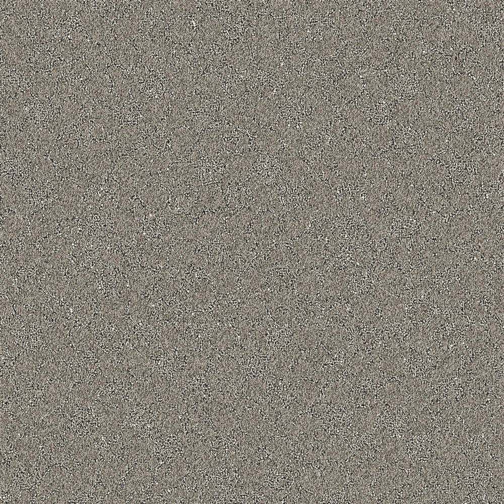 Sparrow Grey
