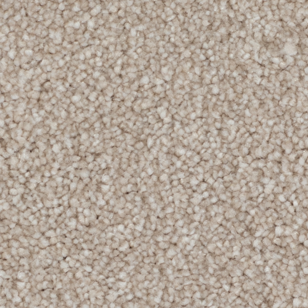 Dune White