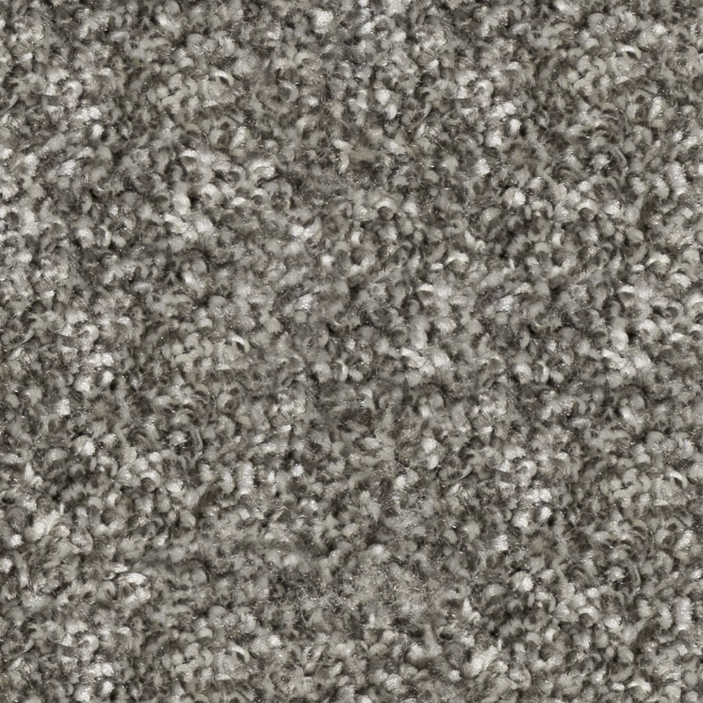 Coachman Grey