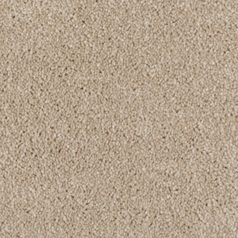 Sandy Beige #16611