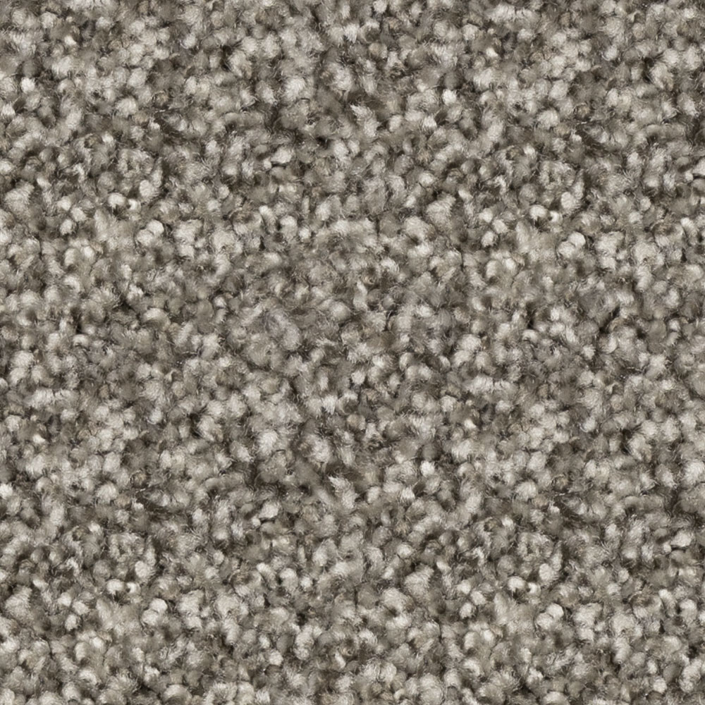 Sycamore Grey