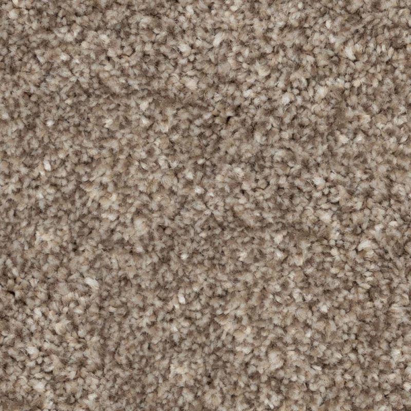 Cabriolet Brown #76838