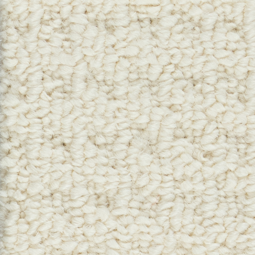 Tender Ivory