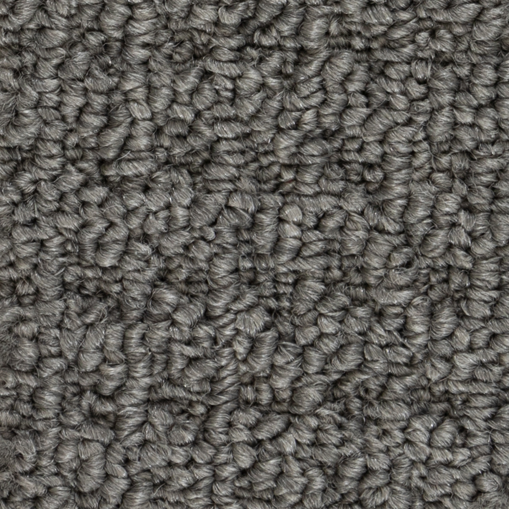 North American Grey