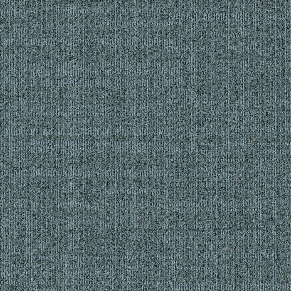 D517