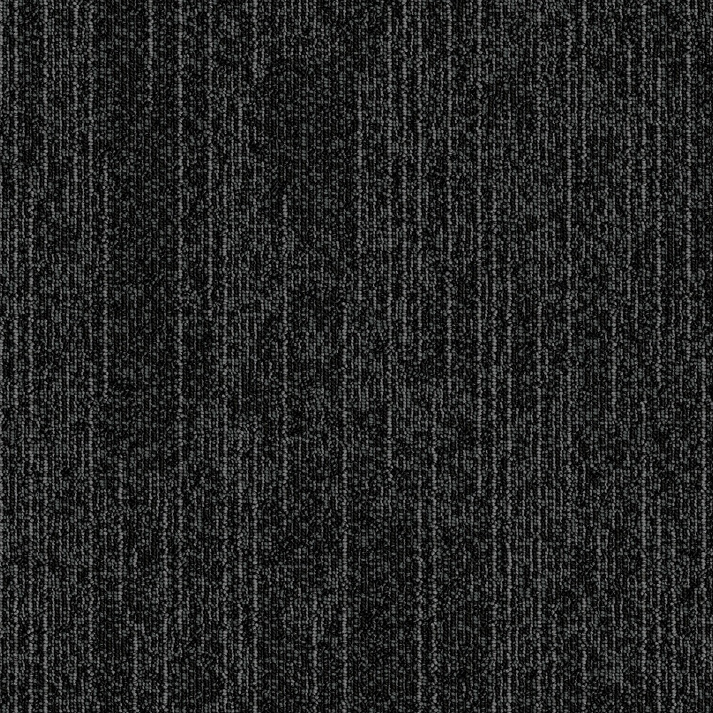 Black Spider