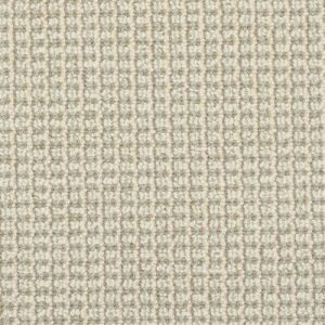 Tresor 9217 In 405 Aquatic Carpet Flooring | Masland Carpets