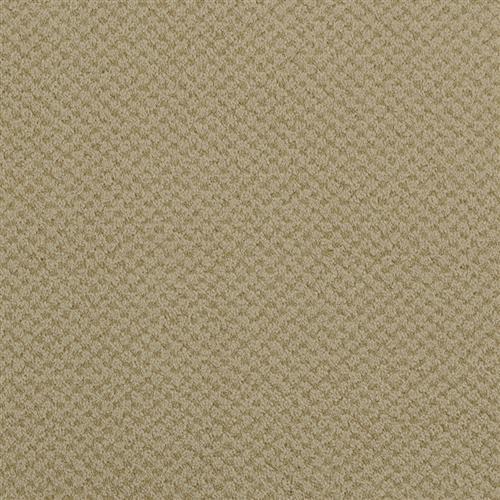 Plaster
