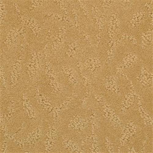Terra Cotta