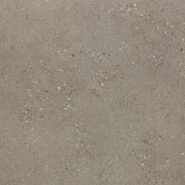 Frammenti Terra 24x24 Rectified