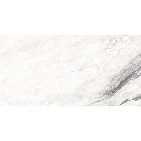 Ekxtreme Bernini 24x48 Polished