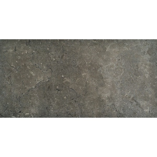 Lagos Mud 12x24 Polished