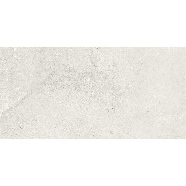 Portland Bianco 12x24 Matte