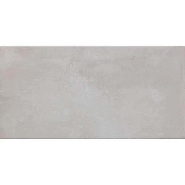 Icon Silver 12x24 Non-rectified