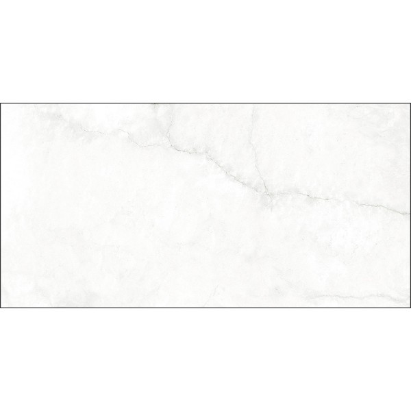 Cronos Blanco 12x24 Polished