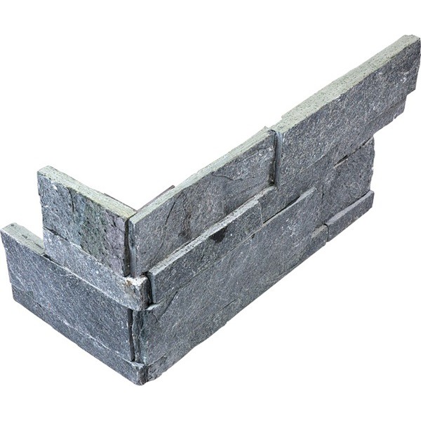 Ledger Stone Astro Silver