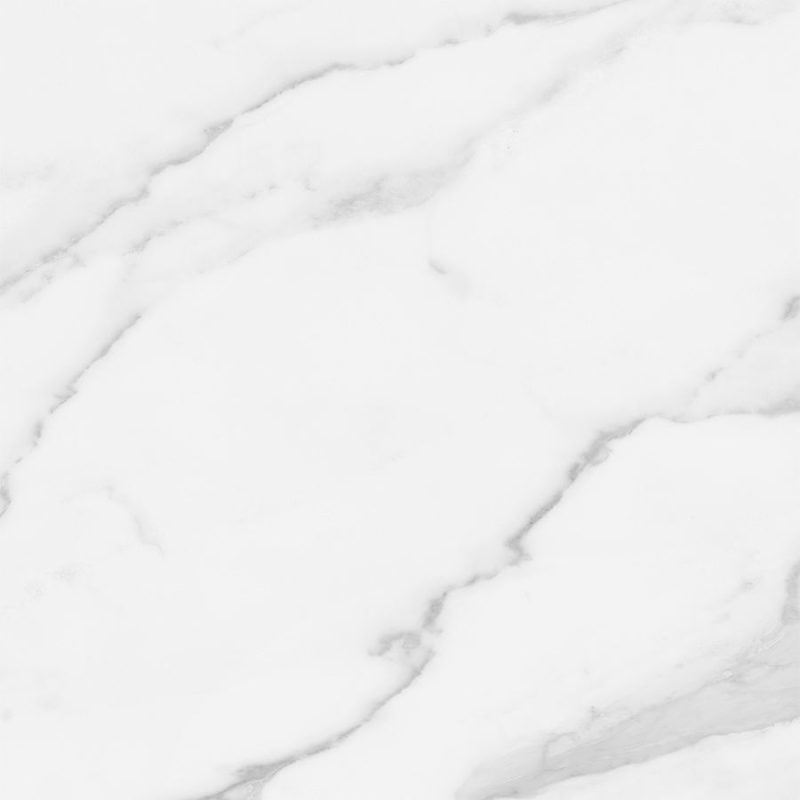 Plata - 24"x 24" Statuario Brina Matte Glazed Porcelain - Rectified