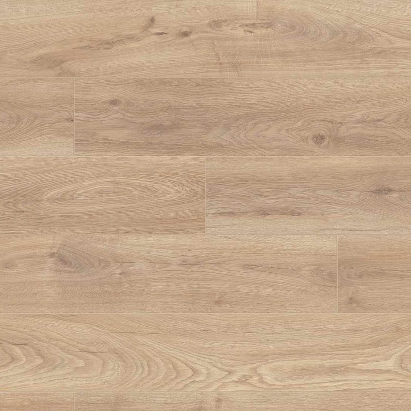 Biscotti Oak